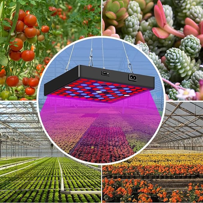 LED Grow Light Full Spectrum Plant Grow Light with Veg &amp Bloom Switch for Hydroponic Indoor Plants LED Grow Lamp Quiet Built-in Fan81LEDS