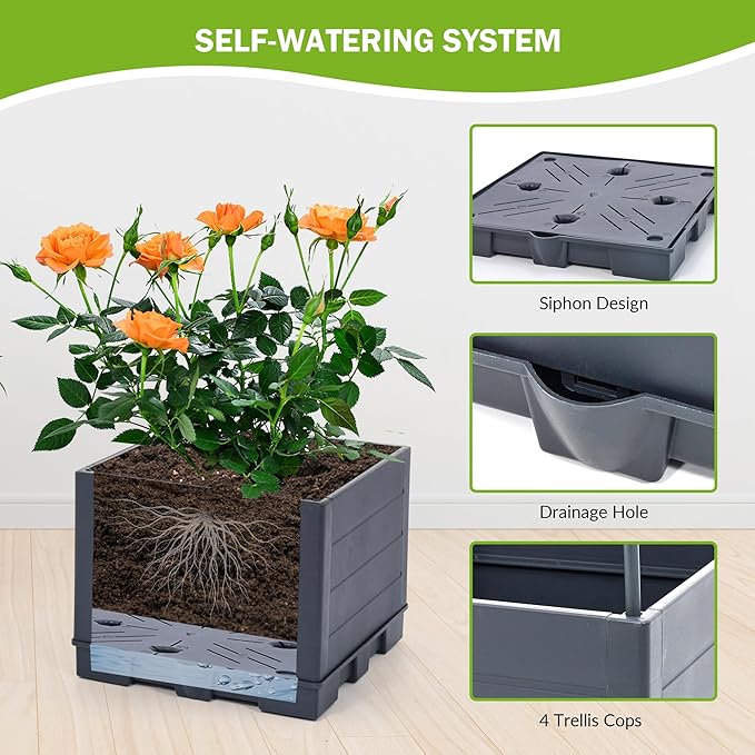 GENMOUS Raised Garden Bed with Tomato Planter Box Trellis 56'' Tomato Cages for Garden Tomato Planter Cage for Patio for Climbing Plants Vegetable Vine Flowers Outdoor &amp Indoor 2 Pack