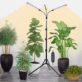 3-Head Grow Light with Stand and Timer 27 Watt Power Home Plug LED Grow Lights for Indoor Plants for Tall Houseplants Bonsai Tree Seed Starting 24-64 Adjustable Height