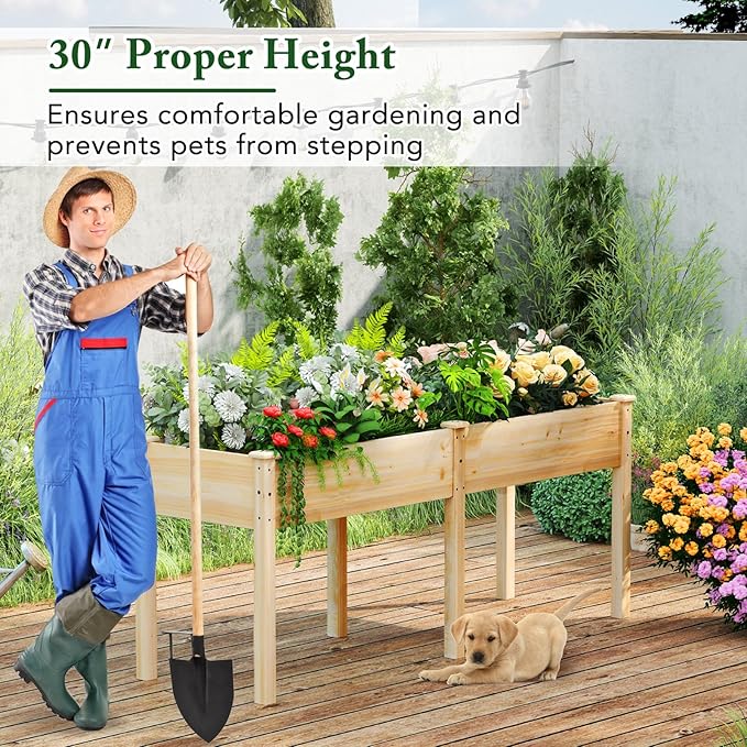 Raised Garden Bed with Legs Elevated Planter Box with Divider &amp 8 Drainage Holes Fir Wood Garden Box for Vegetables Flowers Fruits &amp Herbs (Natural)