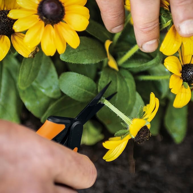 Fiskars 6 Pruning Scissors (2-Pack) for Flowers Buds Weeds and Small Plants Garden Snips with Resin Resistant Nonstick Stainless Steel Blades Gardening Trimmers with Comfortable Handle
