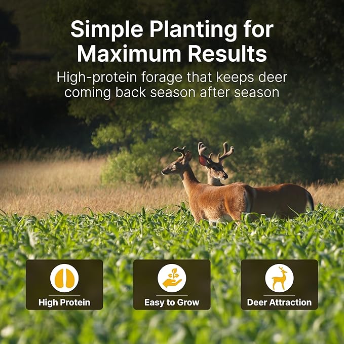 HIT LIST SEED®No Till Alfalfa Food Plot Seeds for Deer [Perennial] - Deer Food Plot Seed Throw and Grow - Deer Plot Seed Mix Perennial No Plow - 100% Alfalfa - Spring Summer &amp Fall Planting - 10