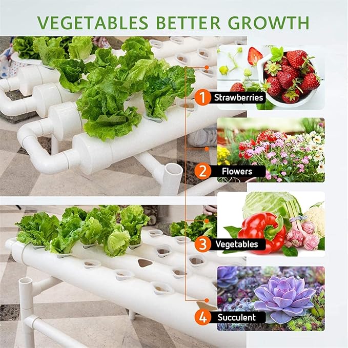 Hydroponics Growing System 36 Holes Culture Garden Plant System with Water Pump Water Culture Plant Growing System for Leafy Vegetables