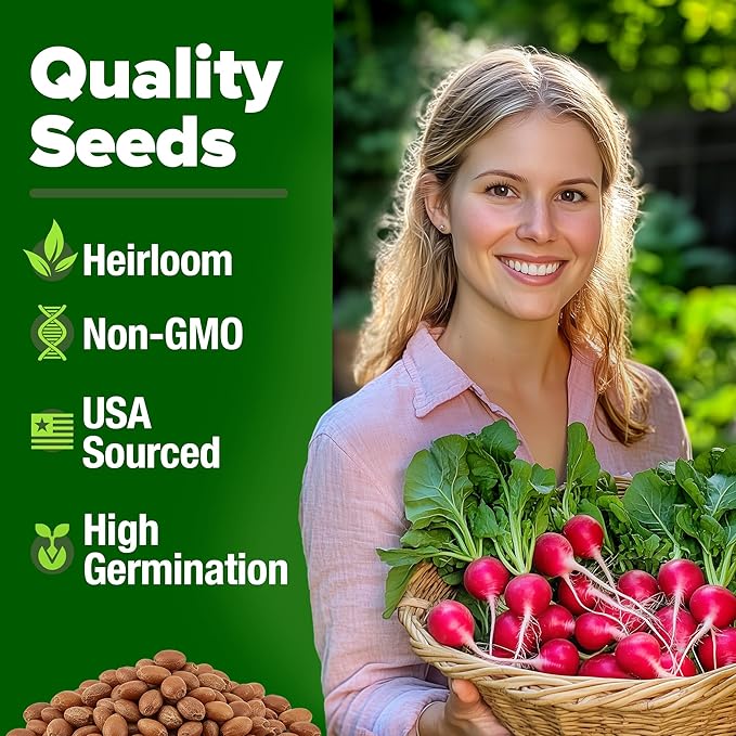 Root Vegetable Seed Variety Pack – Over 8600 Non-GMO USA Heirloom Seeds: Arugula Tendersweet Carrots Detroit Dark Red Beets &amp Cherry Belle Radish – Fast Growing for Spring &amp Fall Gardens