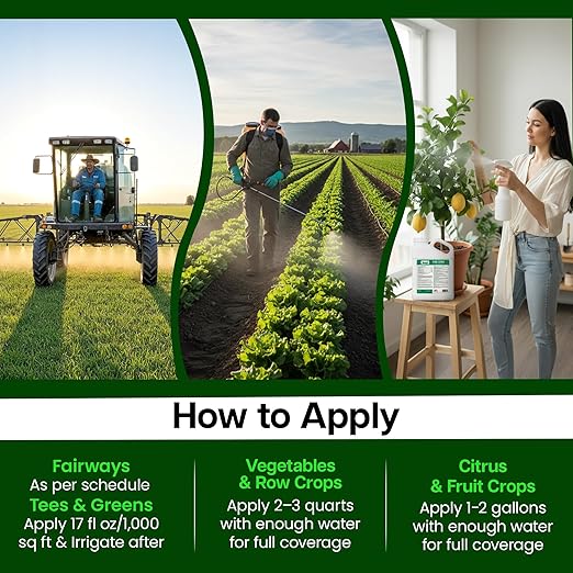 18-0-6 Liquid Fertilizer for Plant Health &amp Quick Green-Up - 50% SRN 6% Potassium Thiosulfate (KTS) with Micronutrients (Iron Manganese Copper Zinc) for Dry Conditions - 1 Gallon