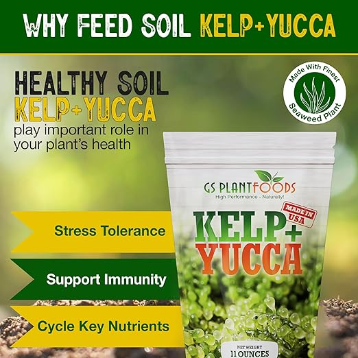 GS Plant Foods Kelp + Yucca Plant Fertilizer &amp Soil Conditioner – Heat &amp Drought Protection Formula for Vegetables Lawns Gardens &amp Houseplants (11 oz Dry Concentrate)