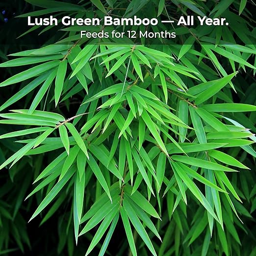 Bamboo Special 12 Month Control Release 13-5-11 High Nitrogen Fertilizer - 5 Pound Package
