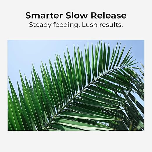 Real Growers Palm Tree Fertilizer 12-4-11 | 12-Month Slow Release Granular Plant Food for Queen Palm Sago Palm Date Palm Cycad | 18 lb
