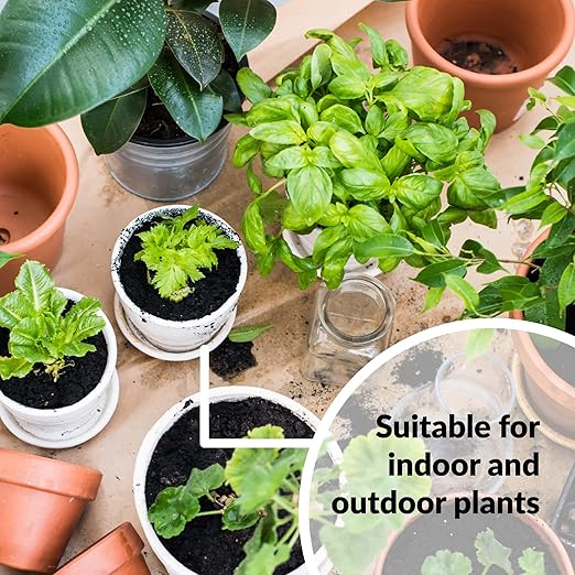 SUPERthrive Plant Vitamin Solution 4 oz. + Organic 4-4-4 All-Purpose Fertilizer Set 2 Pack