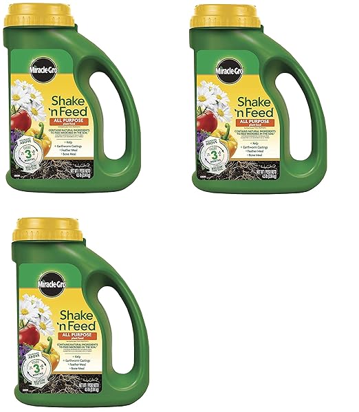 3001910 Shake N Feed All Purpose Continuous Release Plant Food 4.5 lb 3 Pack