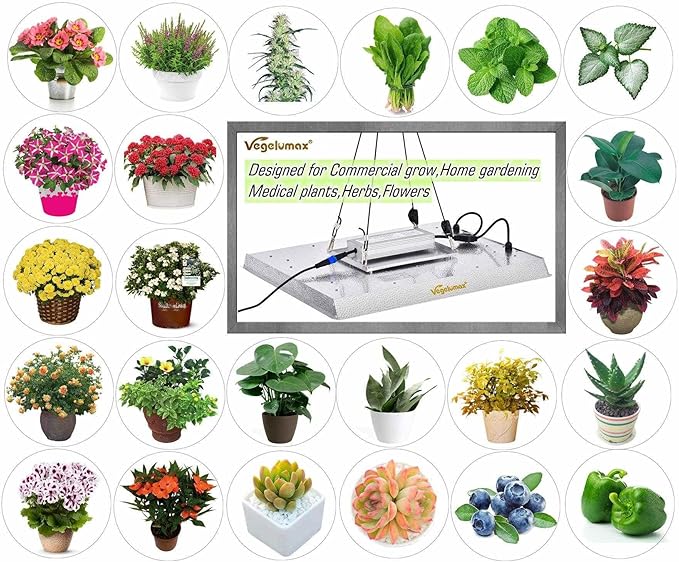 300W LED Grow Light Lamp with UV IR Diodes for Indoor Plants 4x4 5x5ft Coverage Commercial Grow Lighting and Dimmable Driver Sunlike Full Spectrum VGP3000 912pcs LEDs Plant Growing Light