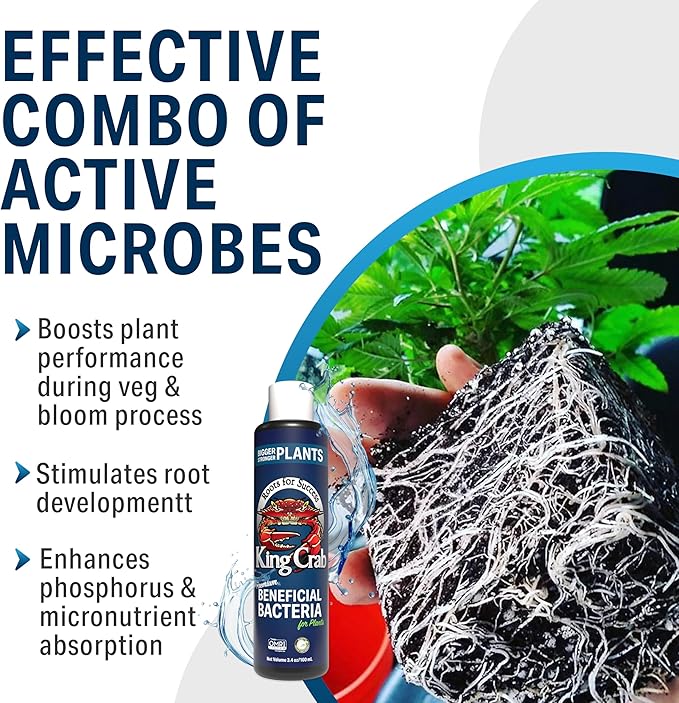 King Crab Instant Compost Tea Root Stimulator for Plants Ultra Concentrated OMRI Organic Bacteria 275 Million Organisms per ml Roses Tomatoes Houseplants Soil Conditioner Soil Microbes