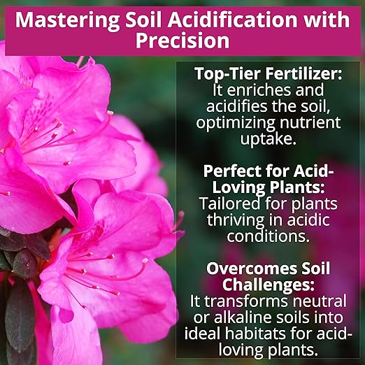8-4-8 Acidic Fertilizer for Azaleas Camellias (Camelia) Hydrangeas Blueberries Gardenias Magnolia Trees Evergreens and Rhododendrons - Ideal Iron-Rich Plant Food (4 QUARTS)