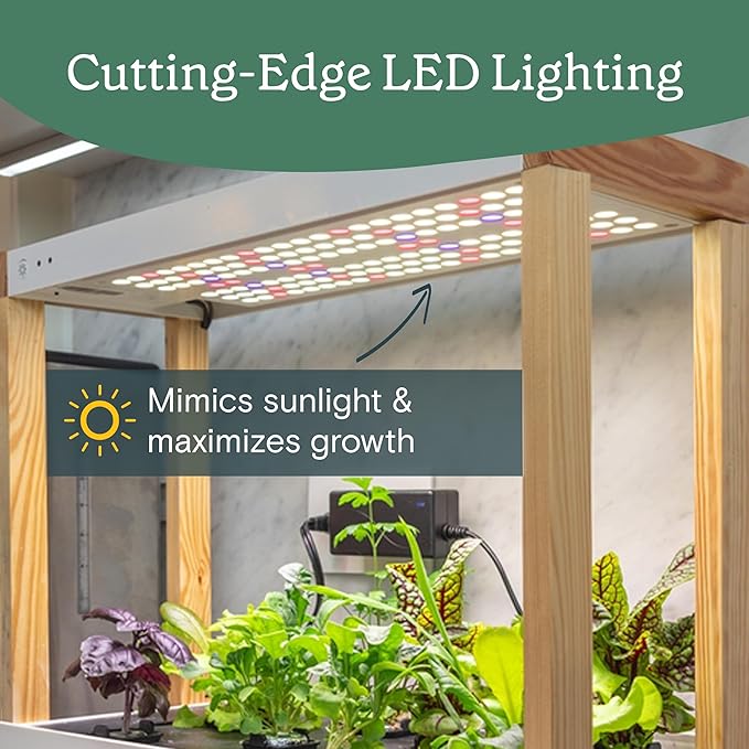 Rise Gardens Personal Rise Garden Hydroponic Indoor Garden Kit with LED Grow Light Countertop Size