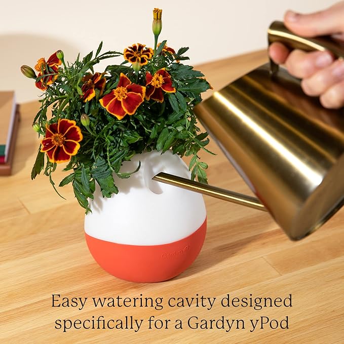 Gardyn Vase Complete Kit - Sage Green | Designed for use with Gardyn Hydroponics Growing System Kits &amp Vertical Garden Hydroponic Gardens | Bring Gardyn’s Indoor Plants to All Areas of Your Home