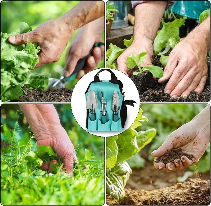 Garden Tools Gardening Tool Set with Non-Slip Handles Lightweight Aluminum Alloy Rust-Proof Gardening Hand Tools with Gloves Ideal Gardening Tools Gifts for Women and Men (11 Pcs)