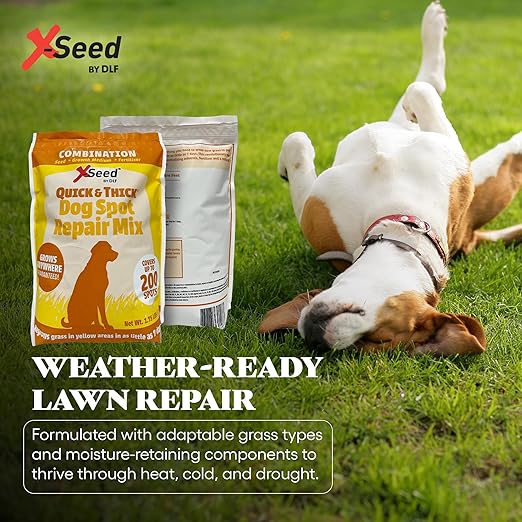 Quick &amp Thick Dog Spot Repair – Grass Patch Repair for Lawn Regrow Yellow Grass Areas Anywhere Quick Pet Proof Grass Seeds for Lawn Fertilizer &amp Natural Growth Medium - Up to 200 Spots 1.75