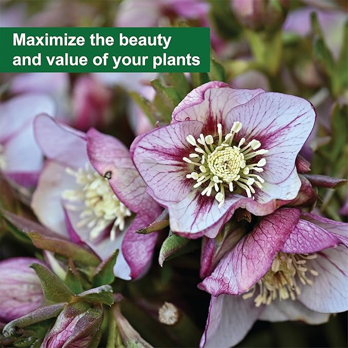 Dyna-Gro DYMAG032 Mag Pro Blossom Booster Supplement 2-15-4 1 Quart