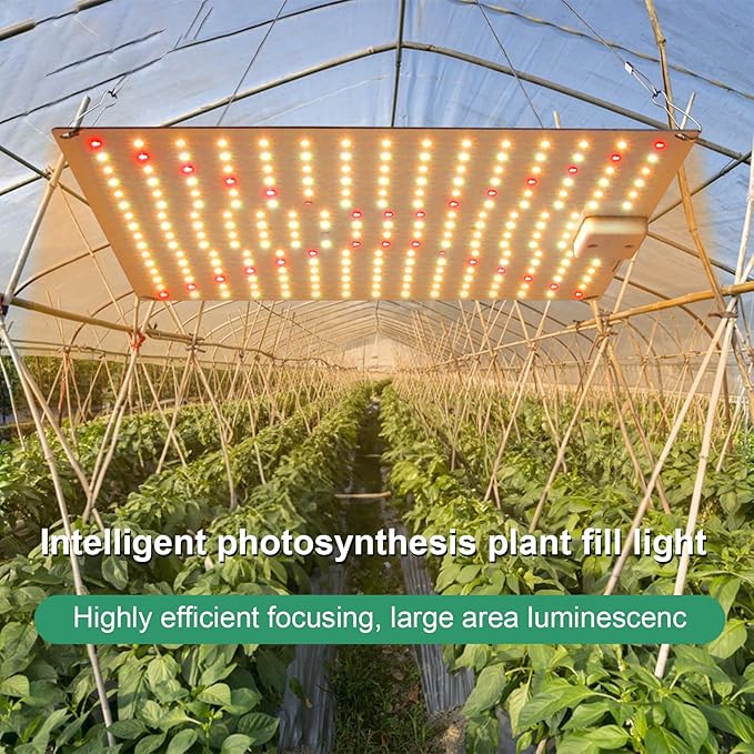 Pl Lamp LED Succulent Fill 50W Full Spectrum Pl Grow Quum Plate Greenhouse Greenhouse Nursery Plng