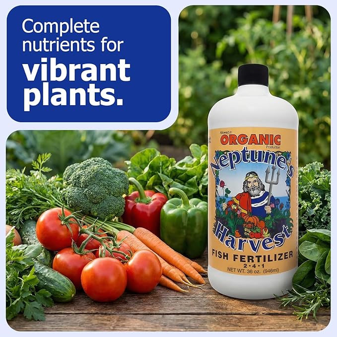 Neptune's Harvest Fish Fertilizer (2-4-1) - Organic Liquid Plant Fertilizer - Fish Hydrolysate for Vegetables Flowers Fruit Trees Grass - Indoor and Outdoor Plant Food (Quart)