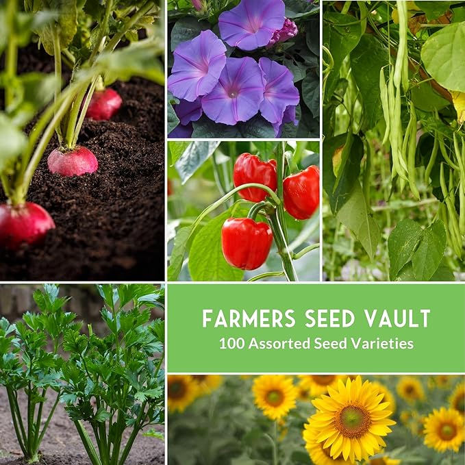 Survival Seed Vault Kit – 100 Packs of Heirloom Vegetable Seeds for Planting – Non-GMO Vegetables Fruits Herbs – Farmer Kit to Grow Food for Long-Term Emergency Storage – Survival Garden Seeds