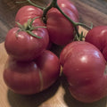 Containers Choice Pink F1 Hybrid Tomato Seeds - 0.25 Oz ~1700 Seeds - Non-GMO F1 Hybrid - Vegetable Garden - Lycopersicon esculentum