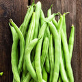 Contender Bush Bean Seeds - 25 Lb Bulk - Non-GMO Heirloom - Also Called Buff Valentine - Vegetable Garden Seeds