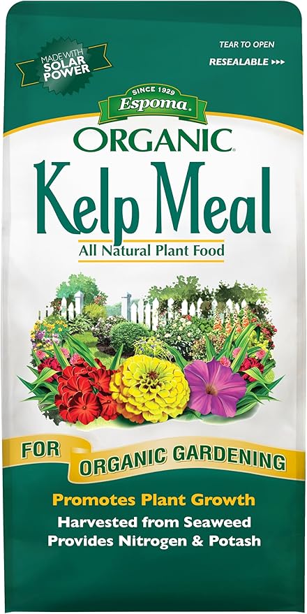 Espoma Organic Kelp Meal 1-0-2 Plant Food and Soil Conditioner All-Natural Cold-Water Seaweed from The Atlantic Ocean with no fillers or additives. 4 lb. Bag Pack of one