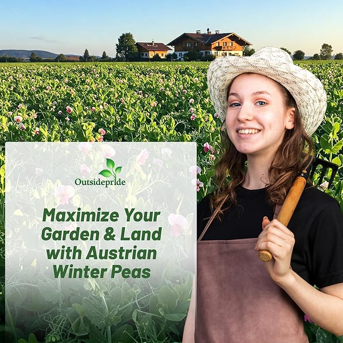 Outsidepride Austrian Winter Peas Seeds for Planting – 10 lbs Bag (Cool-Season Cover Crop High-Protein Deer Food Plot Seed) Field Peas Cover Crop Seeds Spring Mix for Soil Health &amp Forage