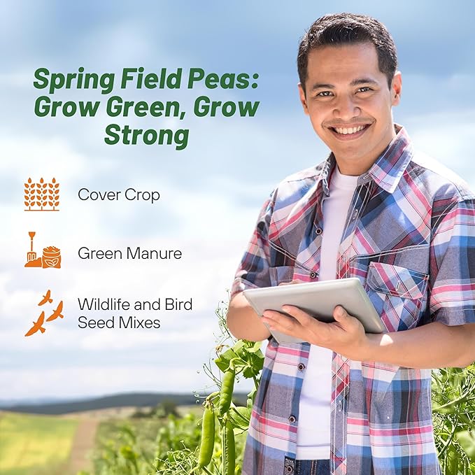 Outsidepride Dundale Spring Field Peas Seeds - 20 lbs. Annual High-Protein Legume &amp Cover Crop Seeds for Forage Food Plot Gardens &amp Pastures - Ideal for Improving Soil Health &amp Erosion