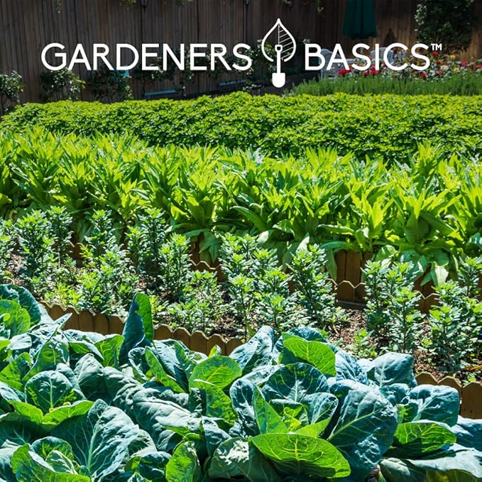 Gardeners Basics Seed Safe Kit - 35 Easy to Grow Heirloom Vegetable Seeds for Beginners - Non GMO Garden Starter Set with 17000+ Seeds - Gardening Gift for Families