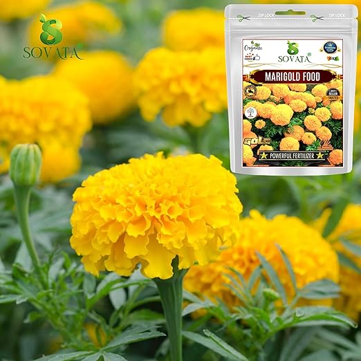 Sovata® Marigold Food Powerful Organic Fertilizer for Heavy Flowering and Fast Growth of Marigold Plants. (900 gm)