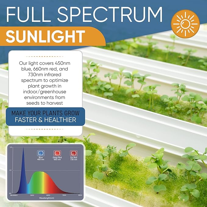 OmniHW 24 ft Full Spectrum LED Grow String Light- 12 Bulbs with 2ft Spacing for Plants Veg Flowers &amp Seedling in Greenhouse Indoor &amp Outdoor- 120 Hi- Efficacy Large Lightning Area&amp Waterpr