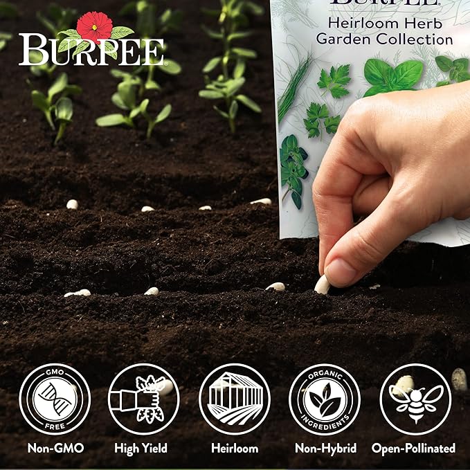 Burpee Heirloom Herb Seeds Variety Pack Non-GMO 16 Herbs - 15000+ Seeds with Basil Chives Catnip Chamomile Cilantro Dill Lavender Oregano Parsley Rosemary Spearmint Sage Tarragon Thyme