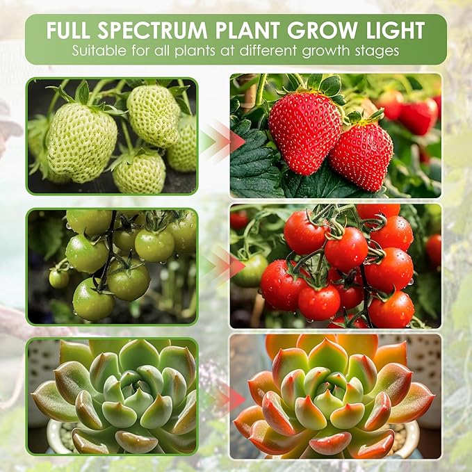 2 Heads Red Blue Grow Lights for Indoor Plants Clip On LED Plant Light Plant Growing Lamp with 3/9/12H Timer 3 Light Modes Adjustable Gooseneck(Clip-3Head)
