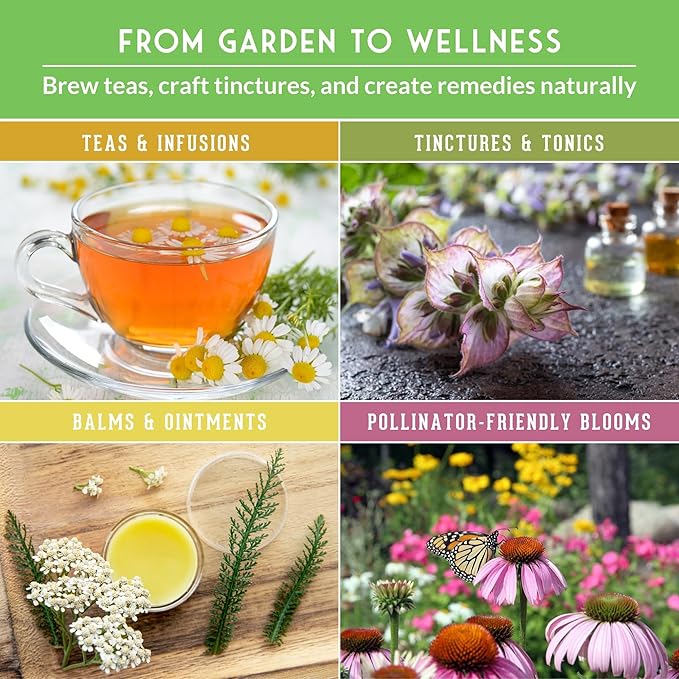Ultimate Medicinal Herb Seeds Variety Pack – 36 Heirloom Non-GMO Healing Herbs for Planting | Wellness &amp Apothecary Garden Kit for Herbalists Homesteaders – Survival Garden Seeds (28000+)