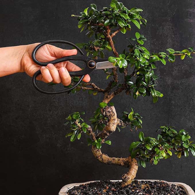 Professional Bonsai Butterfly Scissors | Pruning Shears for Trimming Plants | Japanese Gardening Bonsai Tools | Garden Scissors