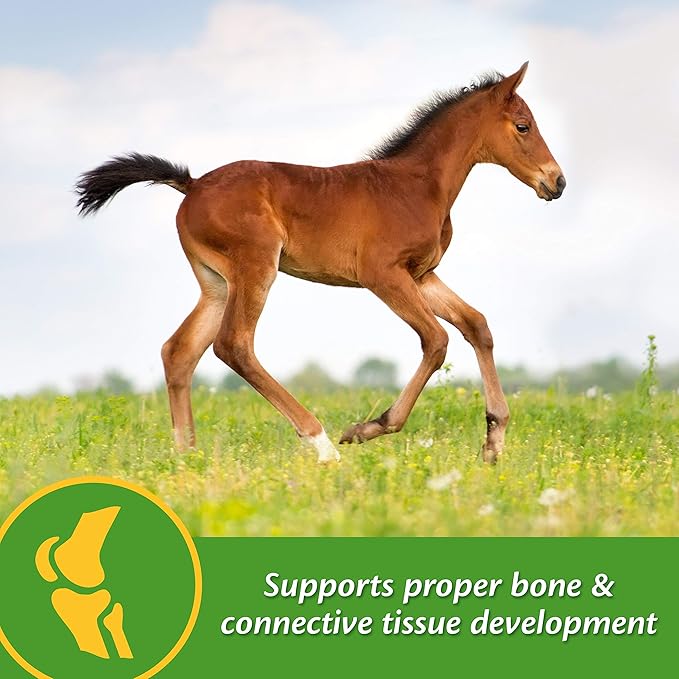 Farnam Grow Colt Supplement for Growth &amp Development Supports Normal consistent Growth in First Years of foal's Life 3.75 lbs. 30 Day Supply