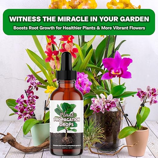 Propagation Plant Drops Prop Solution for Healthier Roots &amp Care of Struggling Houseplants 4oz