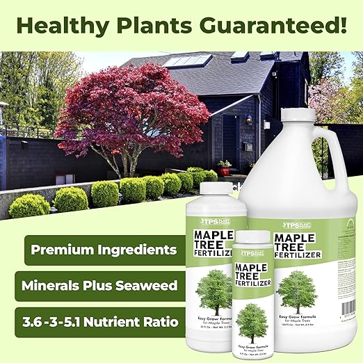 Maple Tree Fertilizer – Liquid Plant Food for Vibrant Color Stronger Roots &amp Healthy Growth 1 Gallon