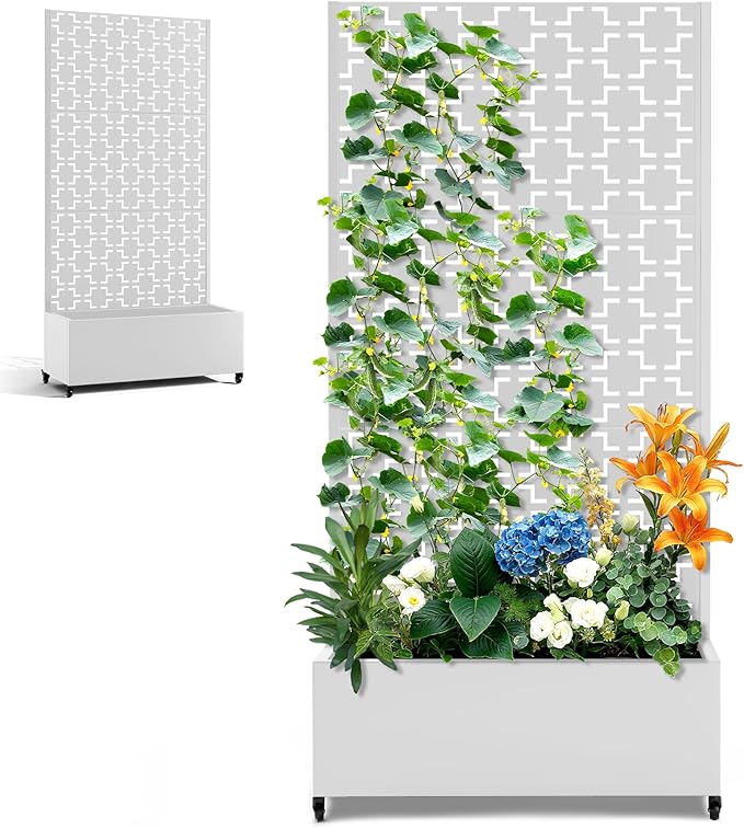 Raised Garden Beds Outdoor with Privacy Screen Metal Standing Planter Box with Trellis &amp Wheels Garden Boxes with Drainage Holes for Climbing Plants Flowers Vines (35L×16W×71H White Square