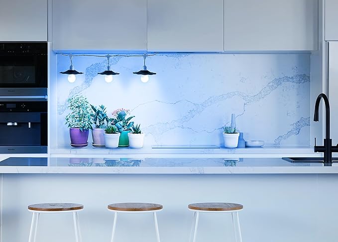 Miracle LED Kitchen Gardener Designer Line Indoor Grow Kit - Includes 3 Absolute Daylight Blue Spectrum 100W Replacement Grow Bulbs &amp 1 3-Socket Black Shaded Cord Fixture with Timer