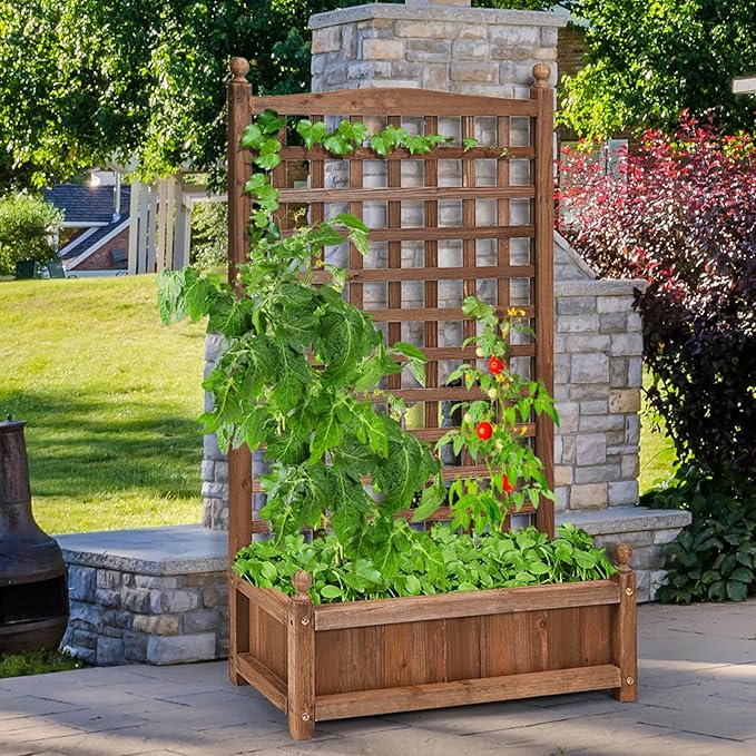 2 Pcs Raised Garden Bed with Trellis 25 x 11 x 48 Inch Wood Planter Box w/Drainage Holes Freestanding Planter for Climbing Plants Flowers Vines Outdoor Patio Yard Balcony