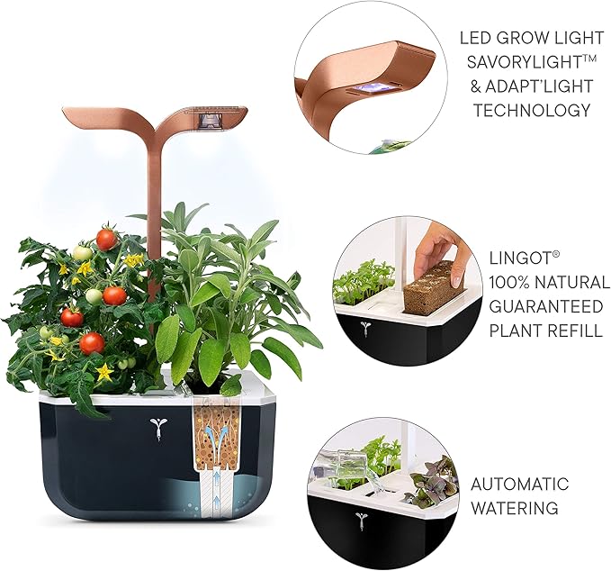 Veritable Exky Smart Indoor Garden Black Copper