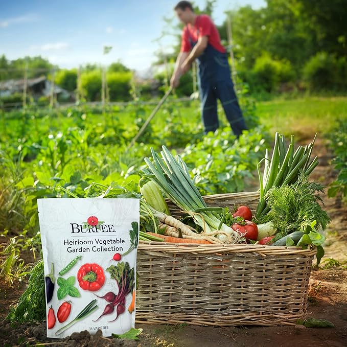 Burpee Heirloom Vegetable Seeds Variety Pack with 35 Varieties of Plant Seeds 30000+ Garden Seeds - Mixed Non-GMO Seeds with Select Varieties of Lettuce Beans Tomatoes Peppers Squash and More
