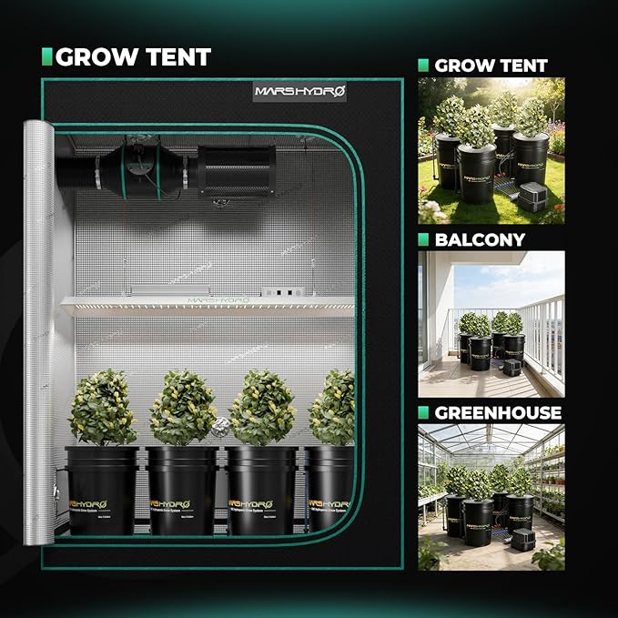 MARS HYDRO DWC Hydroponics Grow System Kit with Recirculating Top Drip 11W Air Pump Air Stone Hose &amp 4 Buckets 5 Gallon Deep Water Culture Indoor Hydroponic System