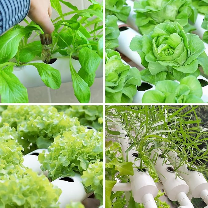 ZAIHW Indoor Hydroponics Growing SystemHydroponics Growing System Kit3 Layers/108 Sites Food PVC Pipes Planting Vegetables Garden Tools for VegetablesFruitsPlant(Upgraded Version)