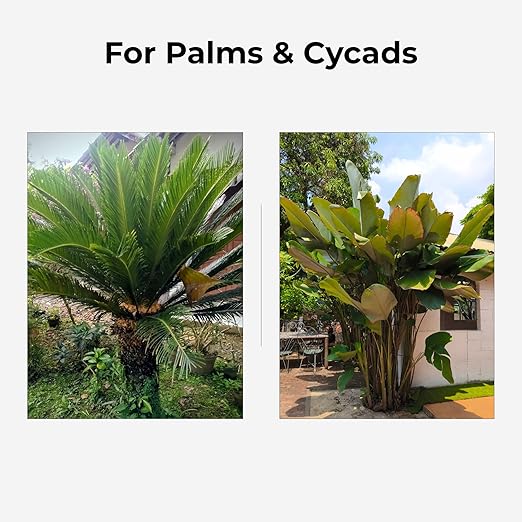 Real Growers Palm Tree Fertilizer 12-4-11 | 12-Month Slow Release Granular Plant Food for Queen Palm Sago Palm Date Palm Cycad | 18 lb