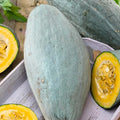 Guatemalan Blue Winter Squash Seeds - 1 Lb ~2800 Seeds - Non-GMO Heirloom - Vegetable Garden - Cucurbita Maxima