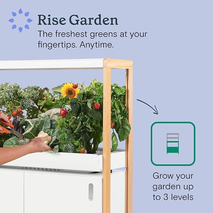 Rise Gardens 1 Level Garden | Hydroponics Growing System Wi-Fi &amp App Controlled Indoor Garden with Growing Lights &amp Self-Watering System | Cloud